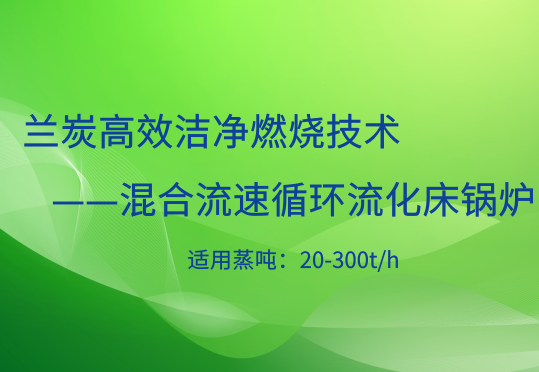 混合流速兰炭流化床锅炉