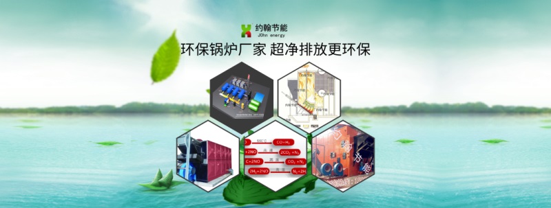约翰节能供应生物质锅炉 800