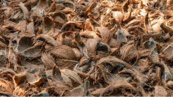 生物质锅炉属于清洁能源吗？