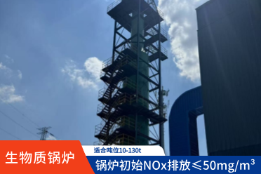 生物质锅炉