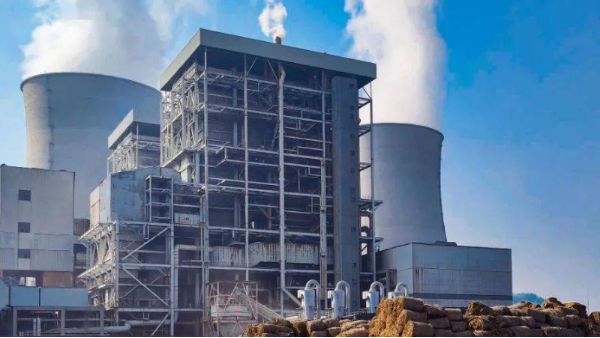 生物质燃料种类介绍